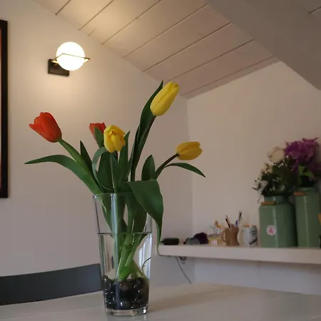 Apartamento Casa Lumnia Assisi Santa Maria Degli Angeli (Assisi)